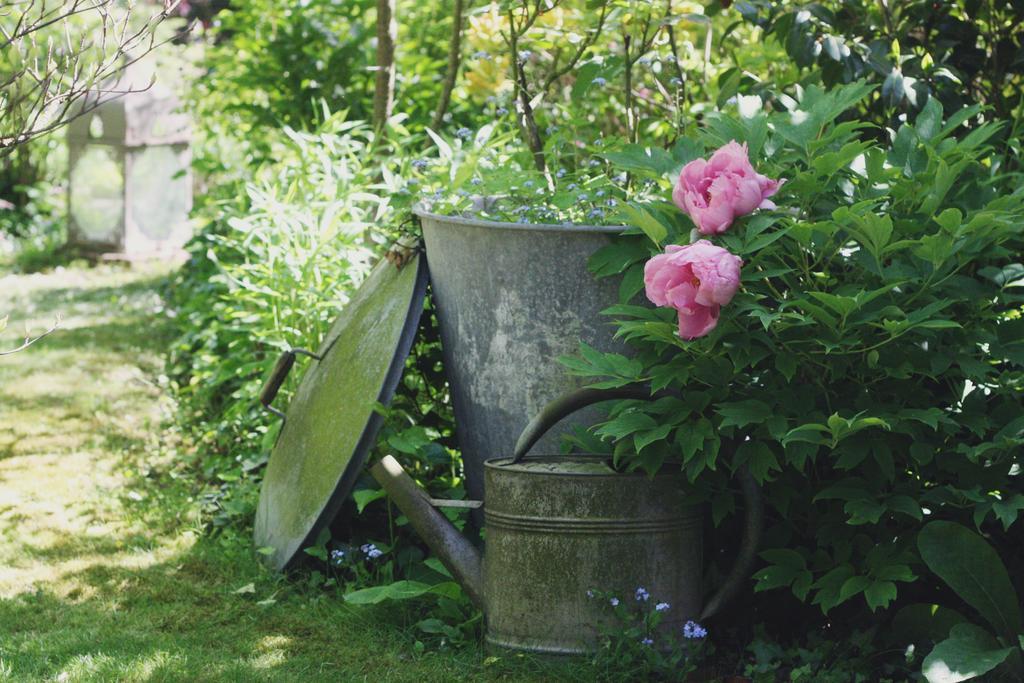 Bed and Breakfast Le Bonheur A La Campagne Lesmont Exterior foto