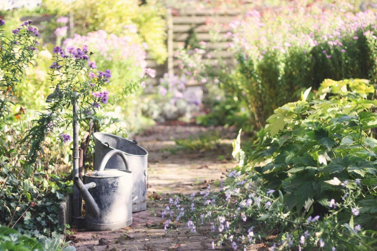 Bed and Breakfast Le Bonheur A La Campagne Lesmont Exterior foto